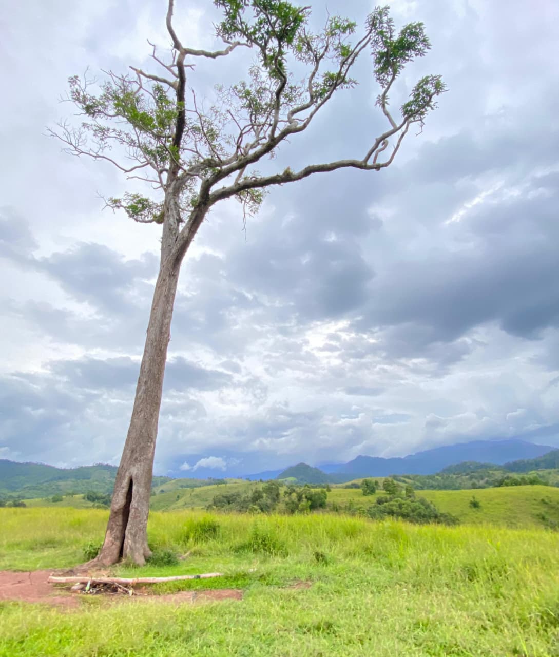 WhatsApp Image 2025-12-05 at 14.22.41